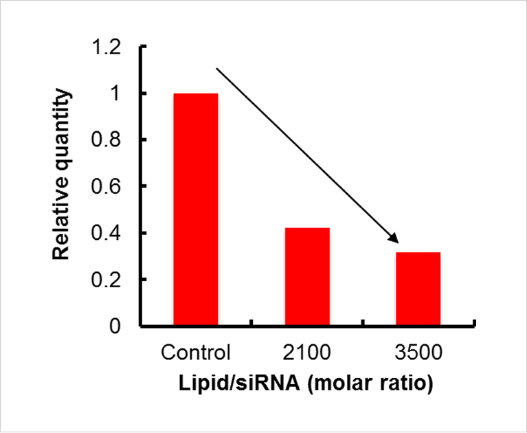 Lipid Nano Particle（LNP）の模式図