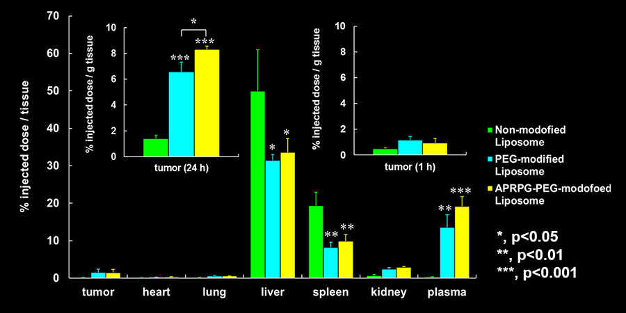 Biodistribution of Peptide-PEG-modified Liposomes