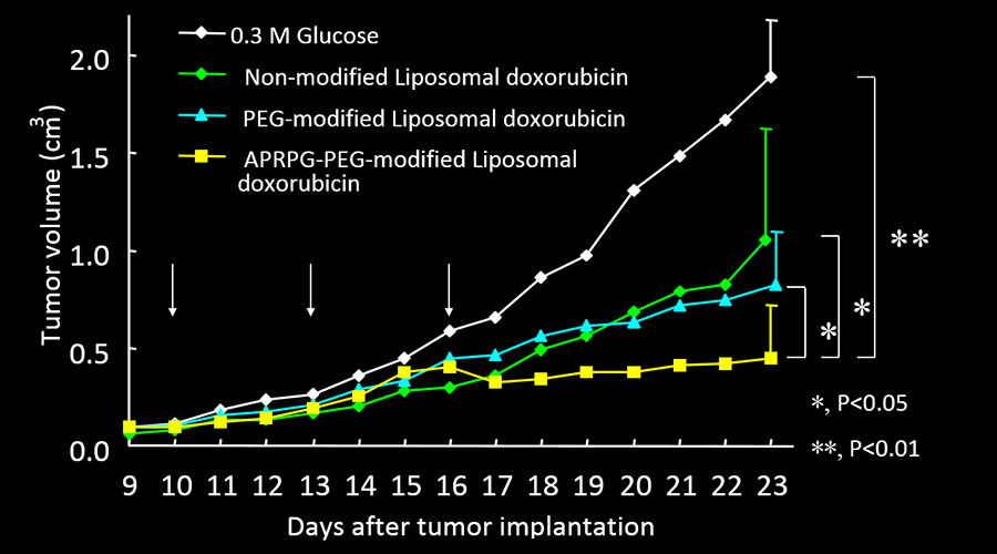 Solid tumor regression effect by peptide-PEG-modified liposome encapsulating doxorubicin