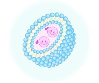 Phospholipids Special site