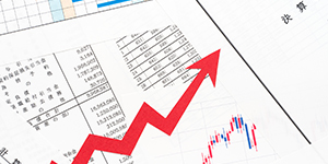 Consolidated Results Highlights