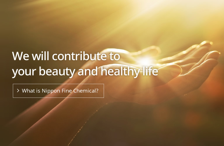 What is Nippon Fine Chemical?