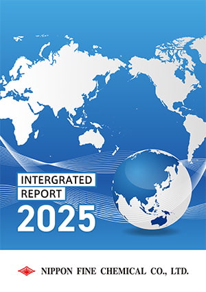 Integrated Report 2025