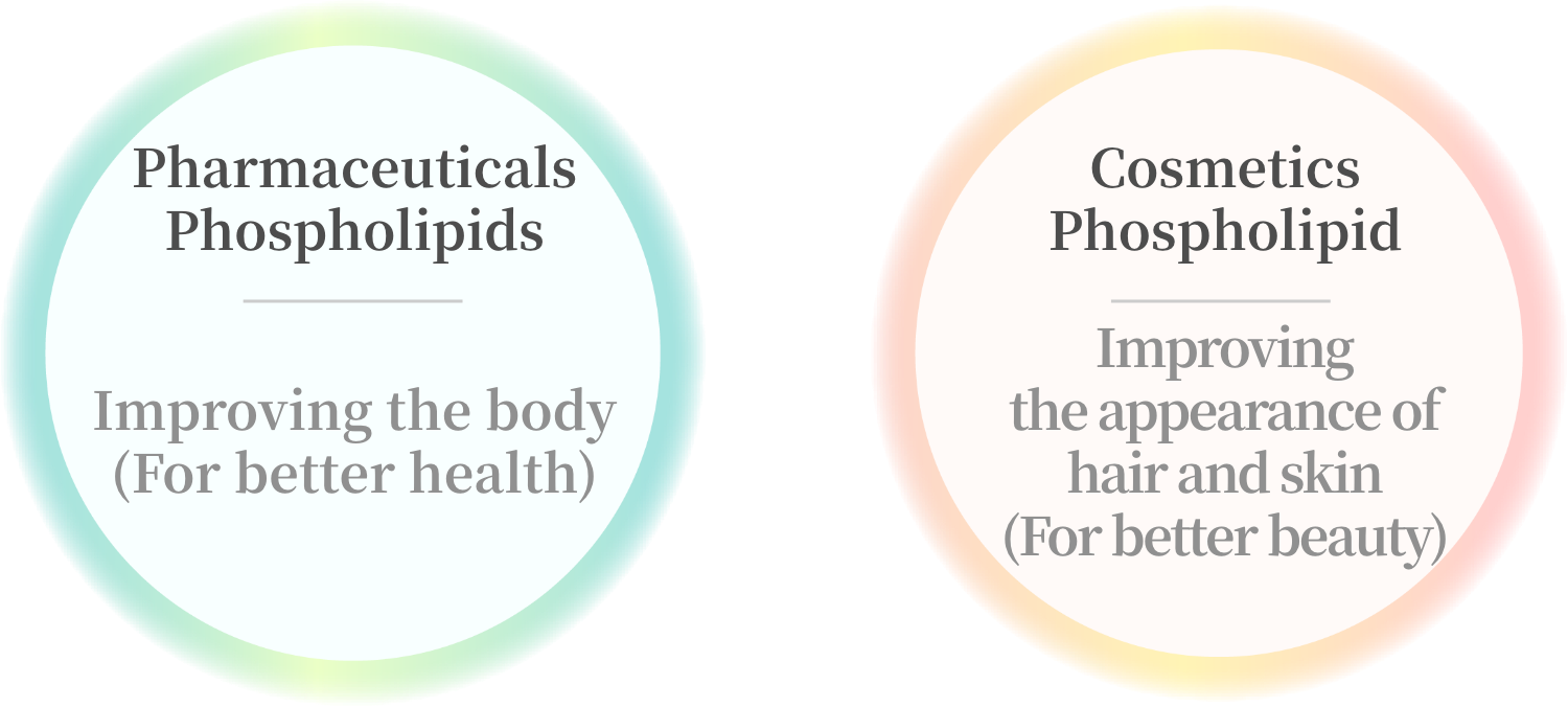 Pharmaceuticals Phospholipids：Improving the body(For better health)　Cosmetics Phospholipid：Improving the appearance of hair and skin (For better beauty)