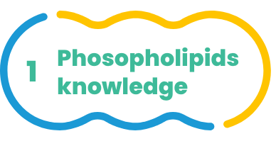 What is phospholipid? ?