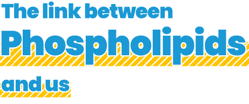 When it comes to phospholipids, look no further than Nippon Fine Chemical