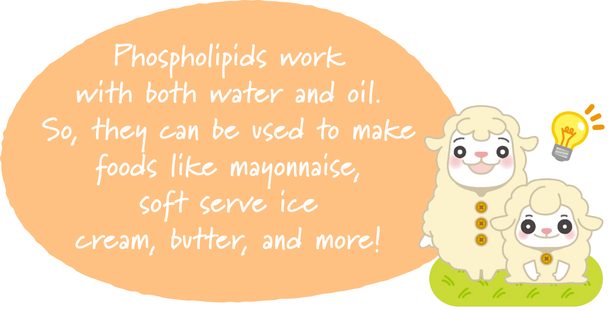 Phospholipids are compatible with water and oil, which helps make mayonnaise, soft serve ice cream, butter, and many other foods!