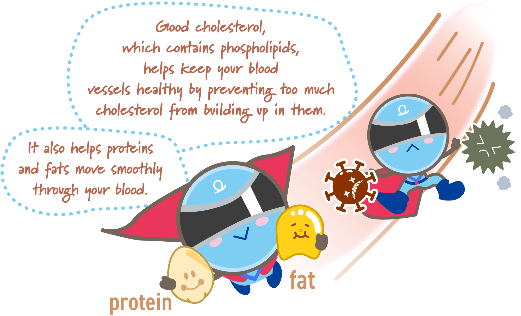 Good cholesterol, which includes phospholipids, helps prevent excess cholesterol from accumulating in the blood vessels and binds proteins and fats together for smooth movement through the bloodstream!