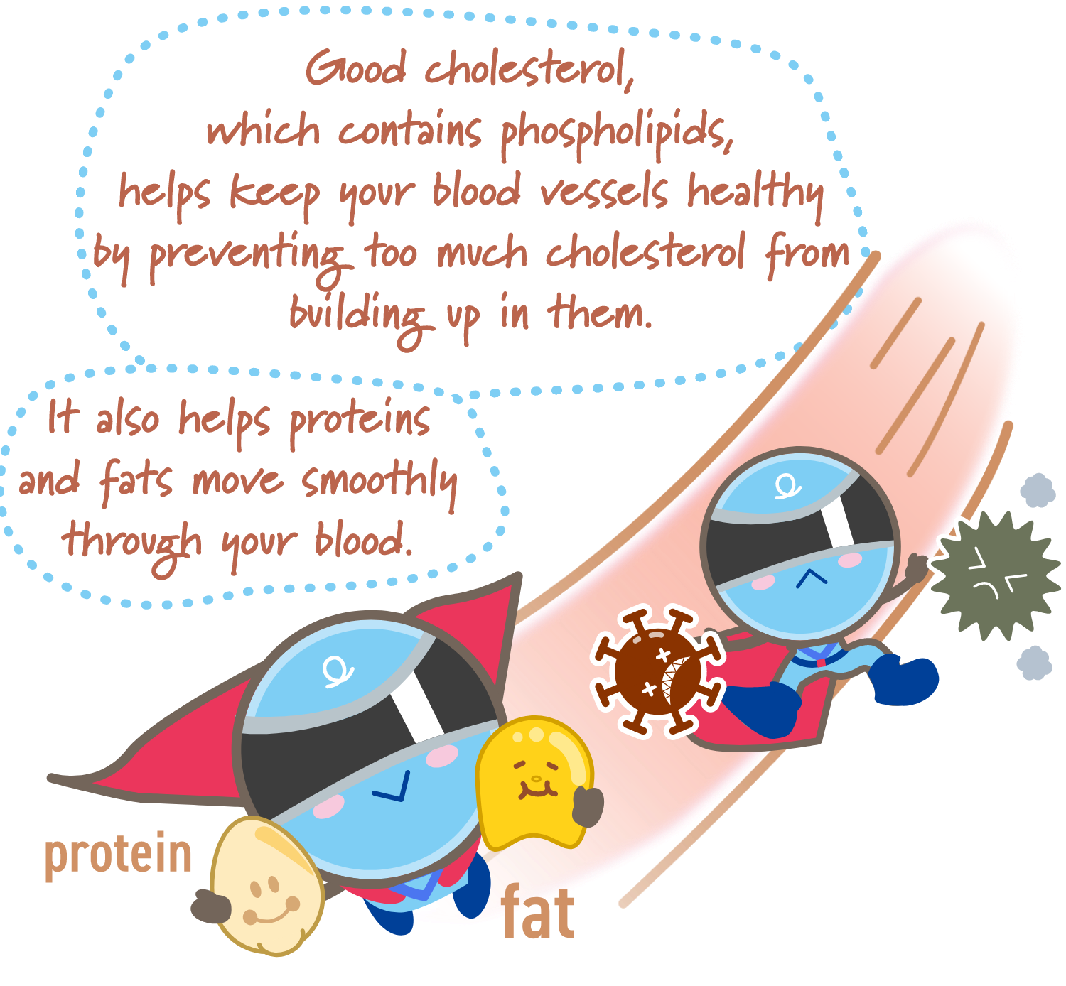 Good cholesterol, which includes phospholipids, helps prevent excess cholesterol from accumulating in the blood vessels and binds proteins and fats together for smooth movement through the bloodstream!