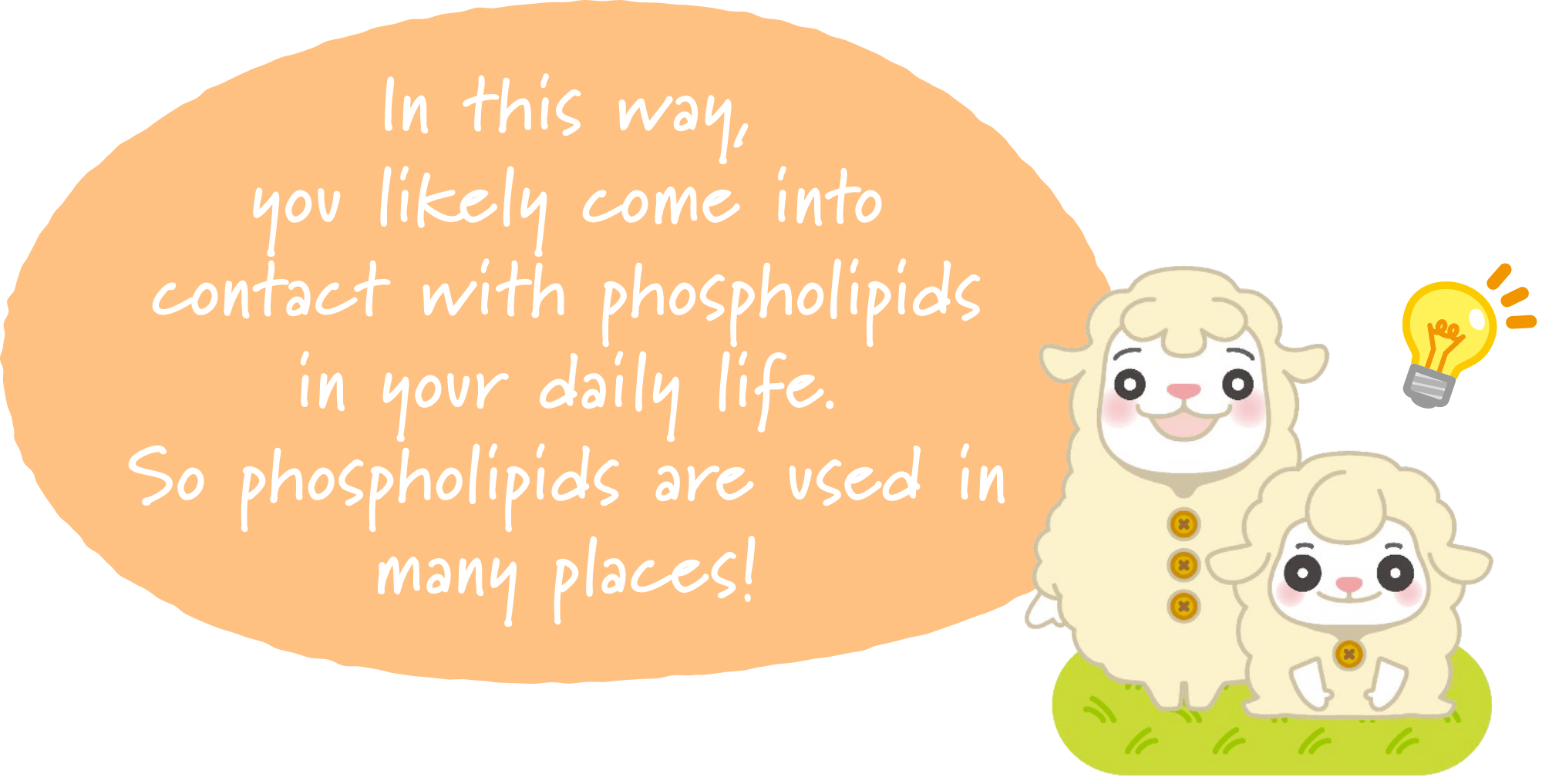 In this way, you likely come into contact with phospholipids in your daily life.So phospholipids are used in many places!