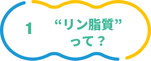 リン脂質って？？