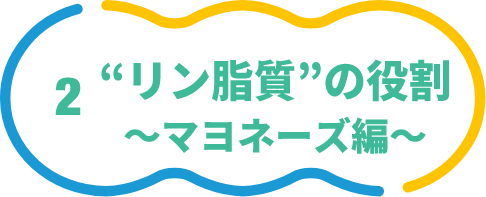 リン脂質の役割　マヨネーズ編