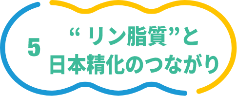 リン脂質と日本精化のつながり