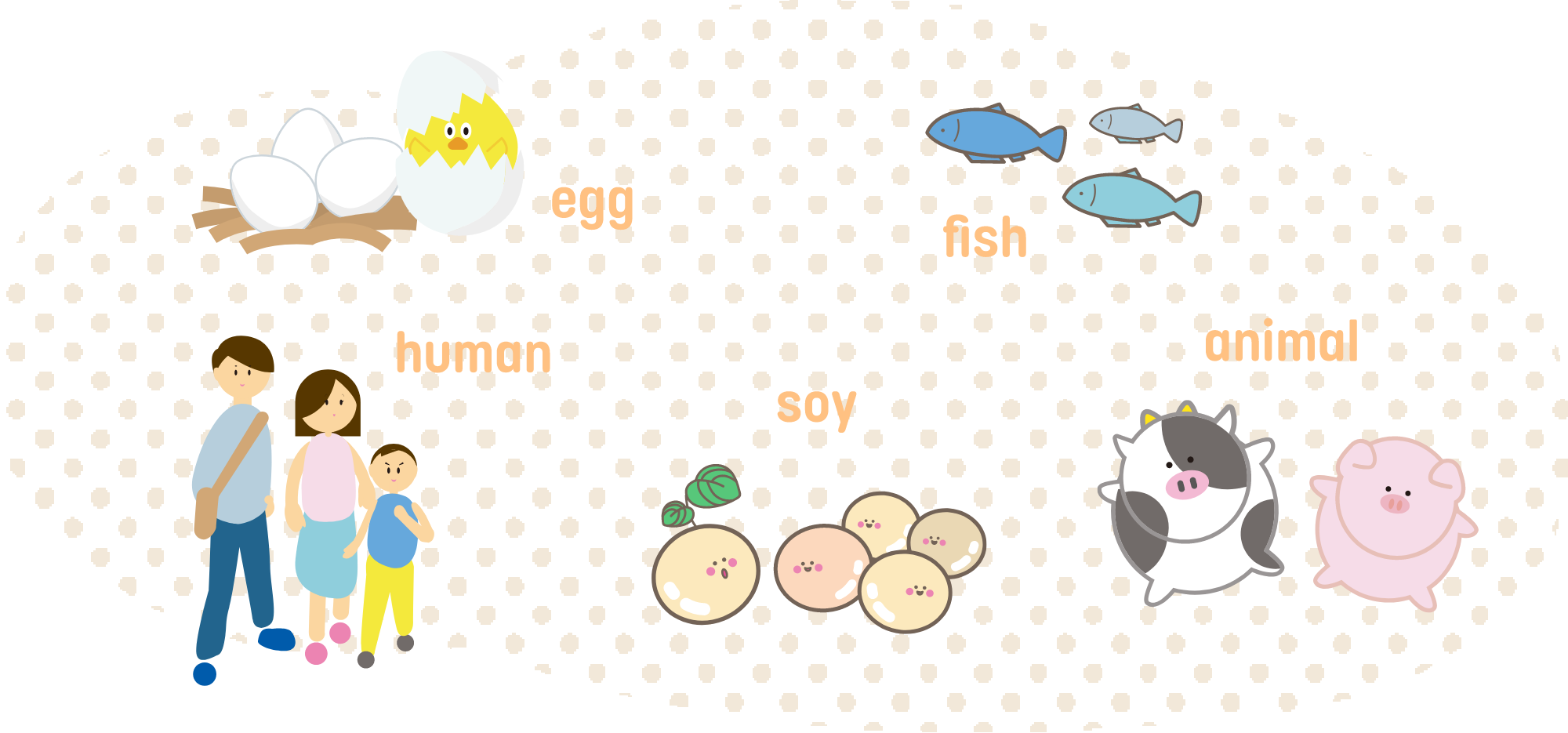 いろいろな食材に含まれる「リン脂質」